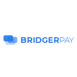 Bridger Ai Limited logo