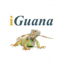 iGuana DMS Ltd logo